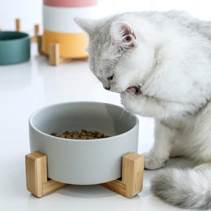 Ceramic Pet Cat Dog Water Food Feeding Bowl