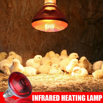 250w Infrared Heat Lamp Bulbs Quartz Glass Waterproof