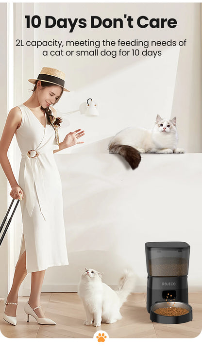 2L Pet Dog Cat Automatic Feeder Food Dispenser